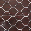 1,5 milímetros Electro galvanizado Hexagonal Wire Mesh (fabricante Anping)